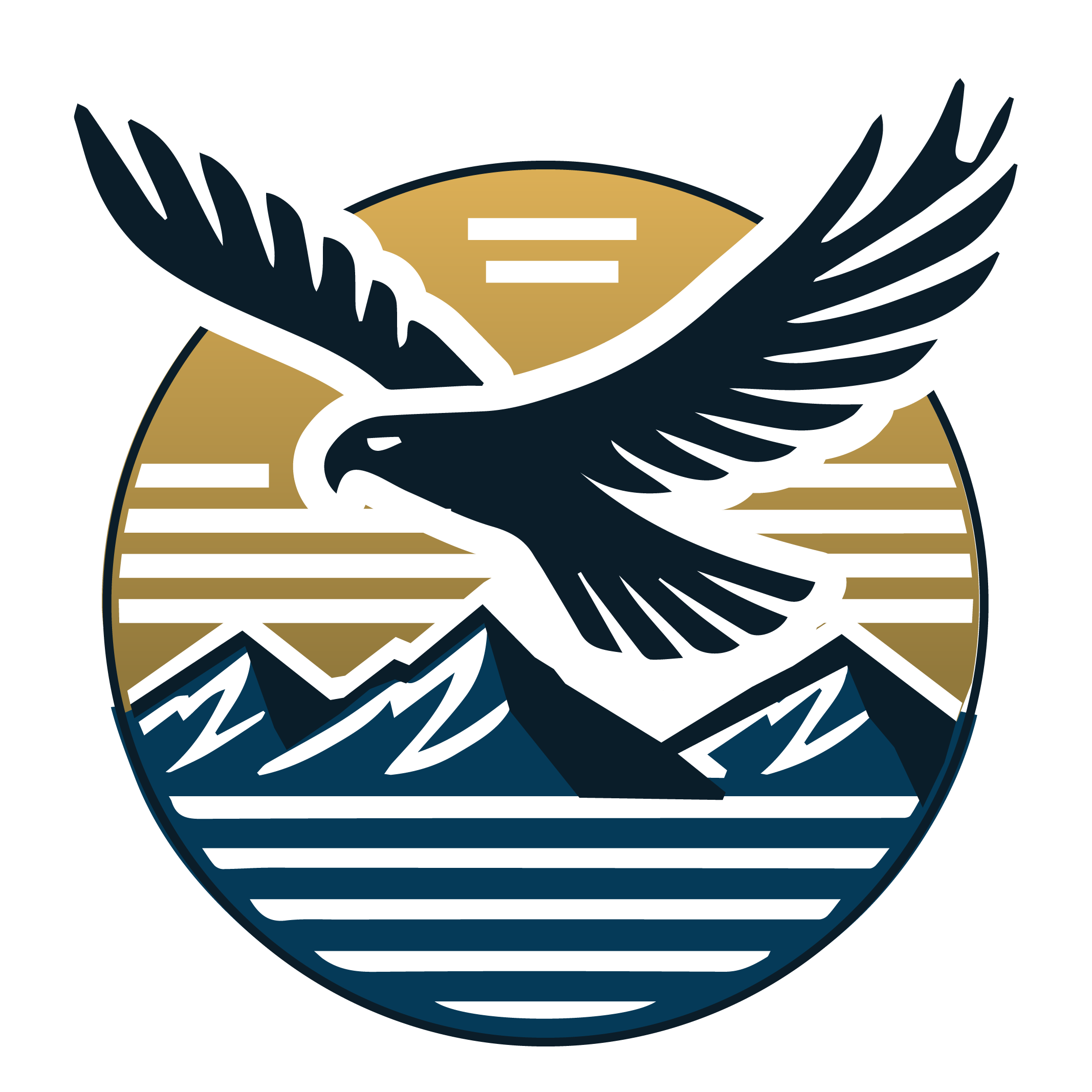 Pacific Hawk Ventures Logo