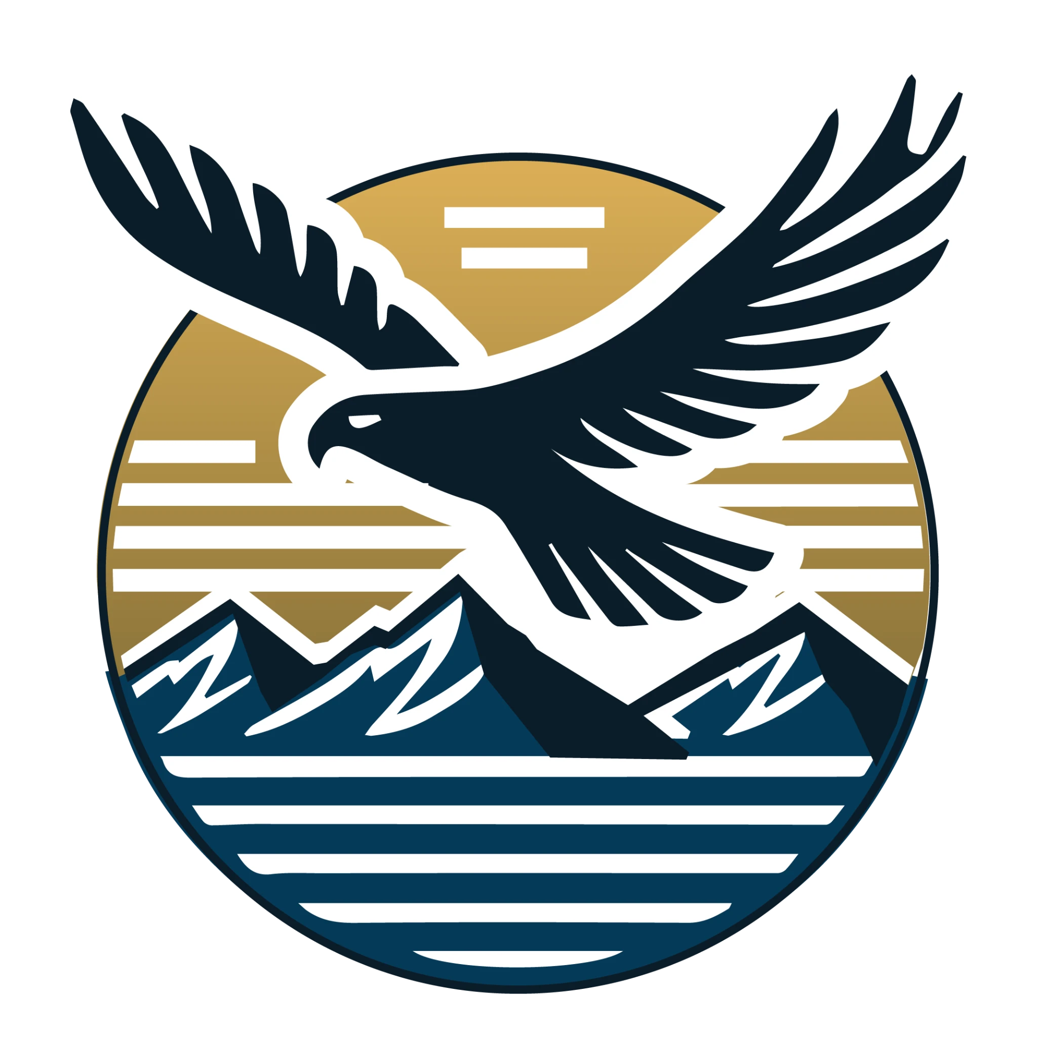 Pacific Hawk Ventures Logo